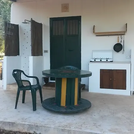 D'artista